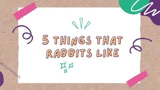 5 things that rabbits like-#information #rabbit #like by Rabbit Nuvoletta Story 31 views 5 months ago 46 seconds