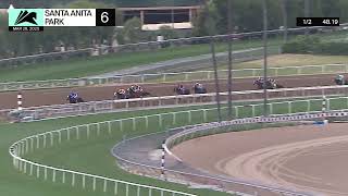 Vidéo de la course PMU MAIDEN CLAIMING