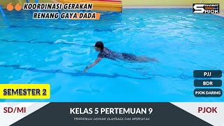 PJOK Kelas 5 pertemuan ke-9 | semester 2 | Koordinasi Gerakan Renang Gaya Dada - BDR PJJ PJOK Daring