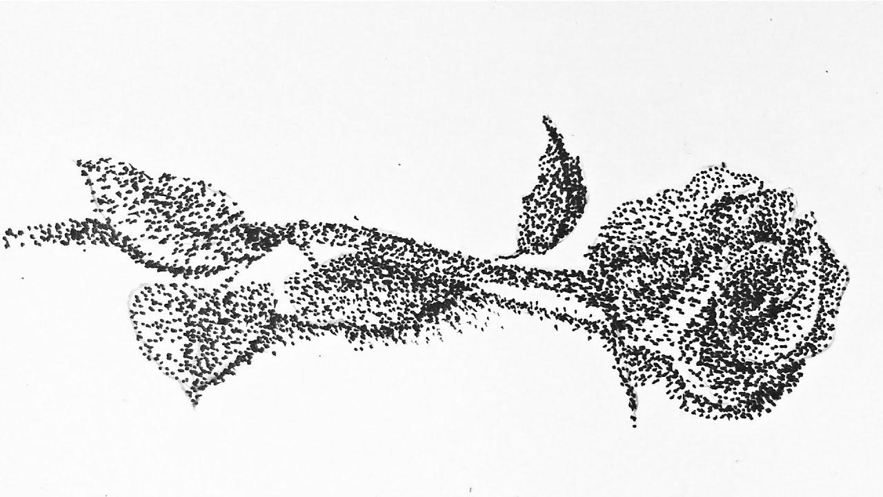 Stippling: Art and Drawing Technique