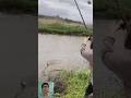Fails So Crazy, You'll Be Laughing Until You Cry #shorts