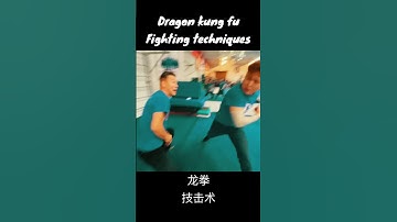 How to use elbow techniques to attack / dragon Kung fu 龙拳