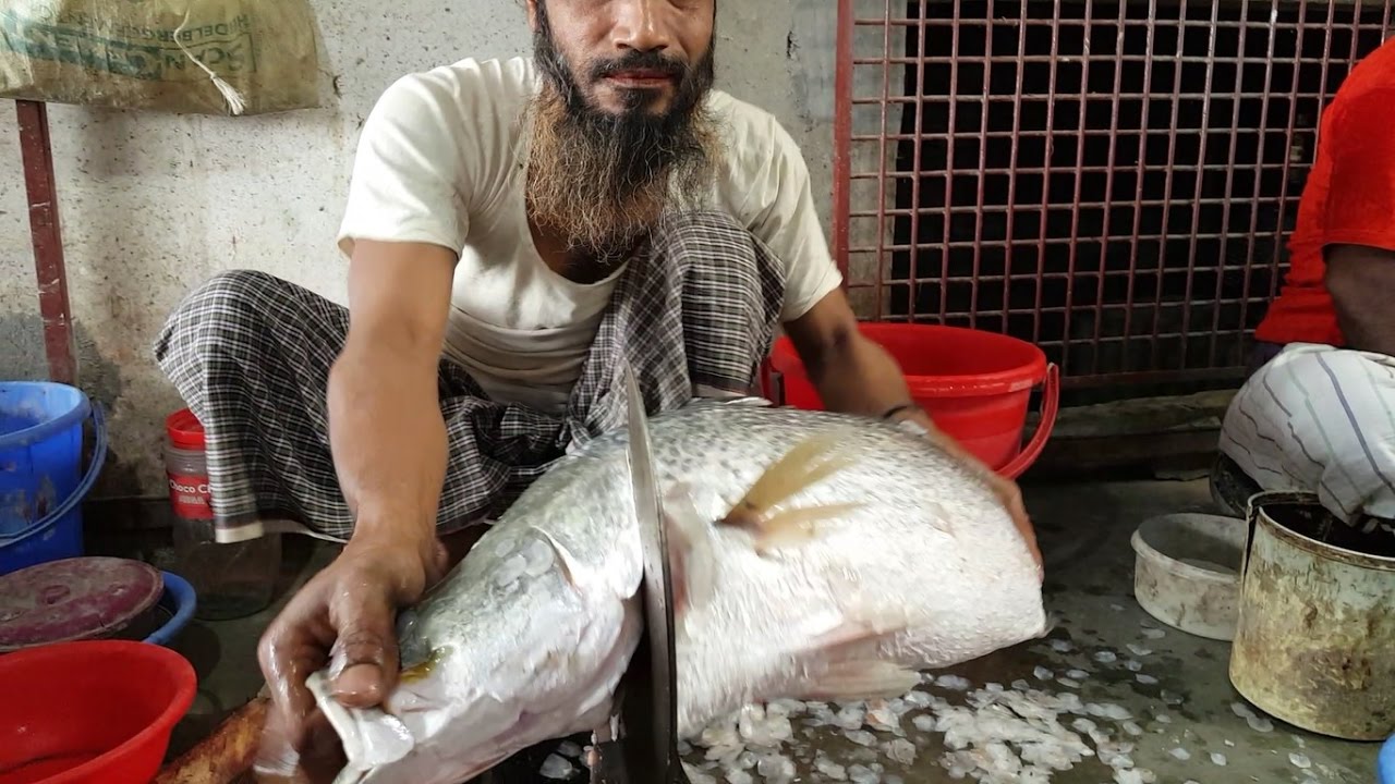 Asian Sea Bass Fish Cut Into Pieces The Barramundi Fish Slice In Fish