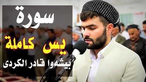 تلاوة مريحة و هادئه جدا سورة يس بصوت القارئ بيشةوا قادر الكردي