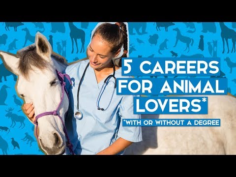 5 Awesome Jobs Working With Animals