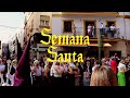 Semana Santa Sevilla | Domingo de Ramos