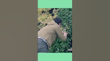 Photograph the unexpected. #VSCO