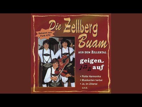 Zupfer