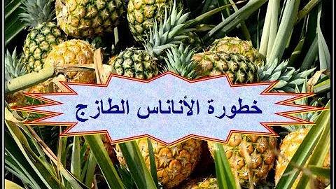 مساء التوت يا حلو يا كيوت