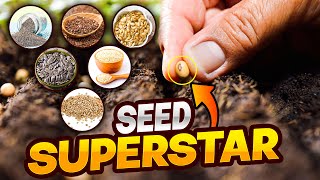 Powerful Benefits of SUPER SEEDS You Should Be Eating
