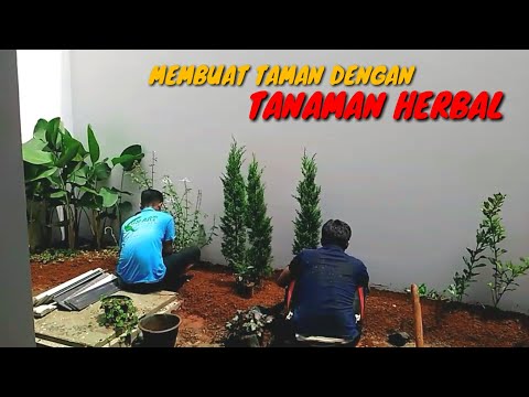 Video: Desain Taman Herbal - Cara Membuat Taman Tanaman