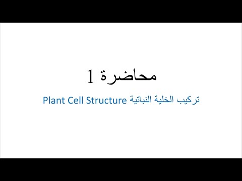 Plant Physiology Lecture 1 - Plant Cell
