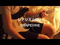 レアリスム婦人/GRAPEVINE ギター弾いてみた