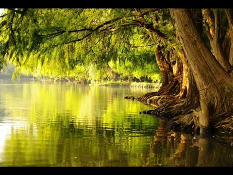 ფსალმუნი 1.   კითხულობს მარიკა ჭეღელიძე