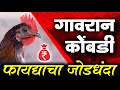 गावरान कोंबडीपालनातून पगारापेक्षा जास्त पैसा | Desi poultry farming Success Story | Shivar News 24