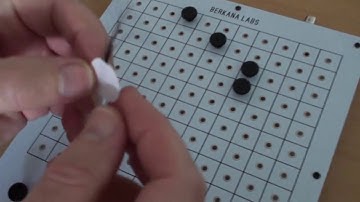 Berkana Labs Peggotty Radionics