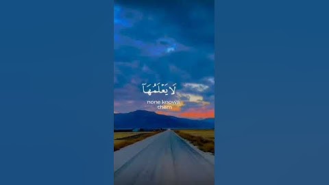 سورة الأنعام الآية(59) #وعنده_مفاتح_الغيب #القارئ_طارق_محمد