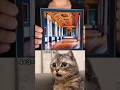 Target 50k views #cat #cats