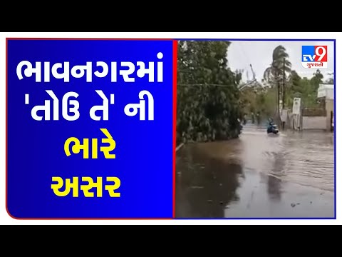 Cyclone Tauktae: Gusty winds, heavy rains wreak havoc in Bhavnagar; trees uprooted | TV9News