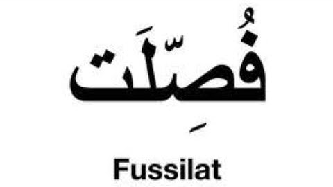 surah fussilat 41 |Qurankarimaki |quran telawat |سورة فصلت