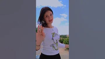 زوج غزالات 