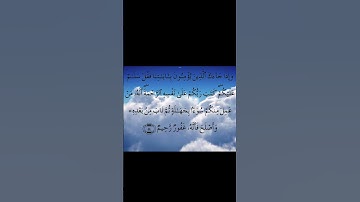 آية 54 من سورة الأنعام / مشاري العفاسي
