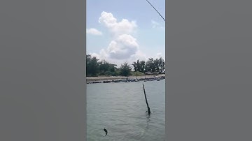 câu cá Biển Cần giờ