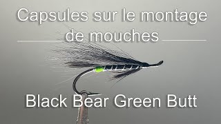 21- Black Bear Green Butt HD