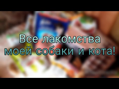 Все лакомства моей собаки🐶 и моего кота🐱))