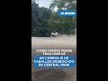 Muere turista de 18 años tras brutal accidente en Central Park / El Diario