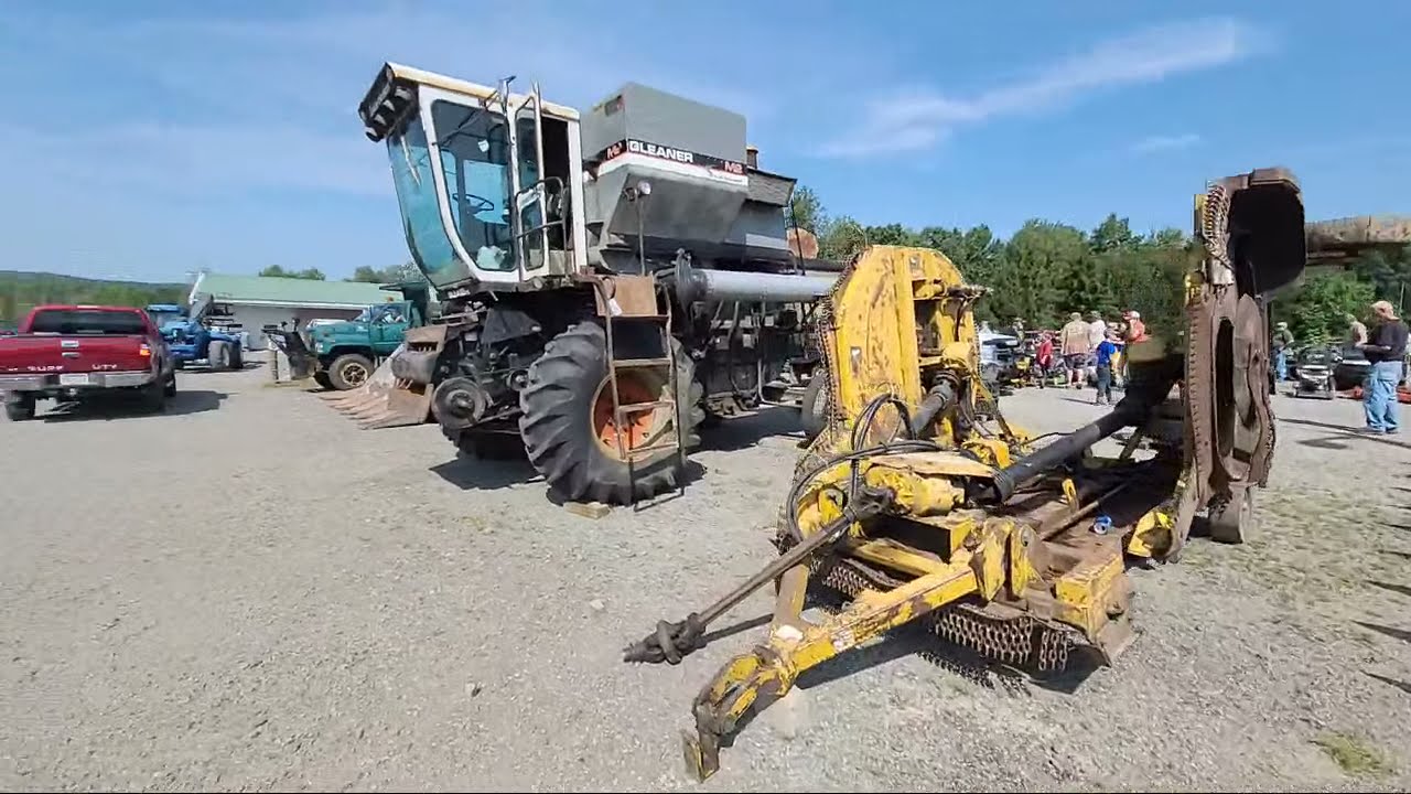 Live at the Auction!