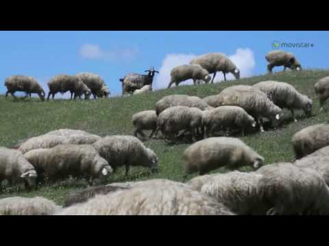 ესპანურმა ტელეკომპანიამ საქართველოს დაცულ ტერიტორიებზე დოკუმენტური ფილმი გადაიღო
