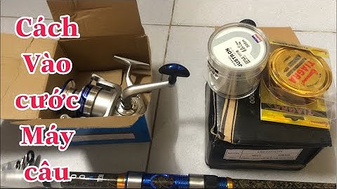 Cách vào cước máy câu cá đơn giản dễ làm / quấn cước vào máy | NVP Travel