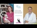 Radio Pet Lady Interviews Jonathan Corren, MD (Cat Chat)