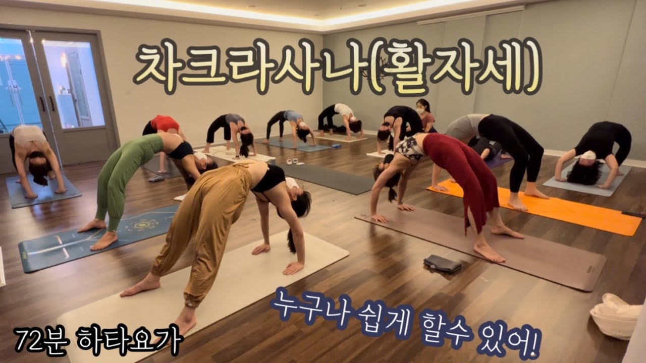 [엔젤요가] 차크라사나(활자세) | 누구나 할 수 있어! | 고급후굴의 입문자세 | 7개의 모든 차크라 각성자세