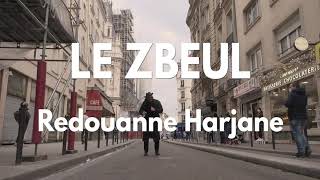 🔊🔊🔊 Redouanne Harjane - Le Zbeul (Clip Officiel)