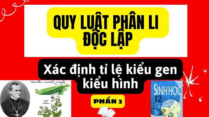 Aabb x aabb có bao nhiêu lớp kiểu hình năm 2024