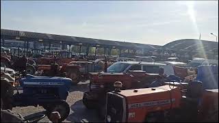Taşköprü Sarımsak Pazarı