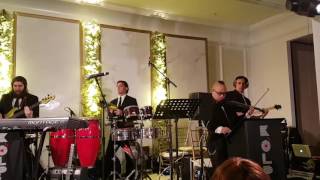 Beri Weber and the Kolplay orchestra at the Wax-Rosenberg wedding (intro) Beri Weber and the Kolplay orchestra at the Wax-Rosenberg wedding (intro)
