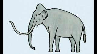 Resound Columbian Mammoth Sound Effects 2