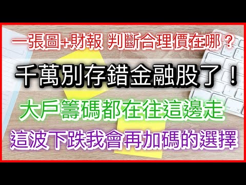 股市分析|這波下跌我會選擇加碼的金融股 (CC字幕)