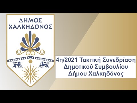 Βίντεο: Δημοτικό Συμβούλιο στην Αγία Πετρούπολη, 20.07