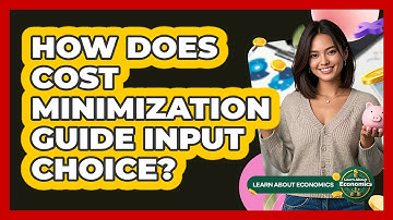 How Does Cost Minimization Guide Input Choice?