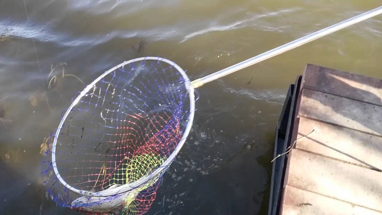 Рыбалка в данилово