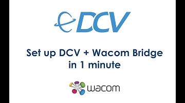 Set up DCV with Wacom Bridge in 1 minute