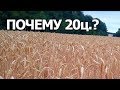 Почемууу??? Плохой урожай пшеницы 2018г. #Сельхозтехника ТВ