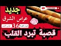 2020 3ers Soughras سوق هراس 41 2020 3ers Soughras سوق هراس 41