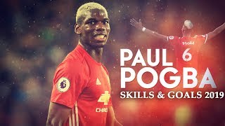 Paul Pogba 2019 ● Best Goals & Skills Ever ● HD