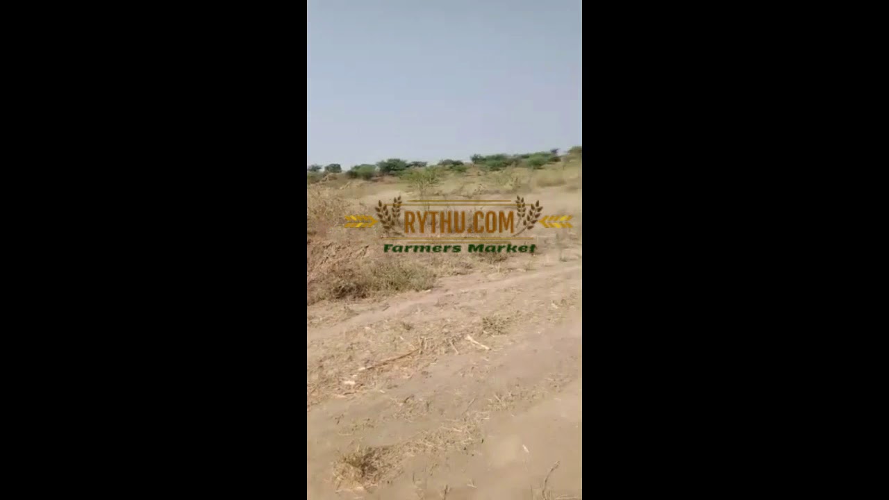 1 Acre 20 Guntas (45 Lakhs per acre)- Kothapet In Keshampet Mandal - Ranga Reddy District