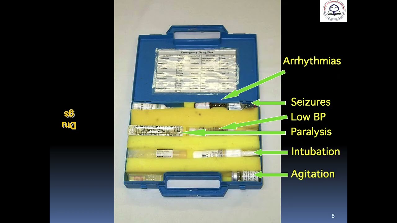 5 patient  Transport 2